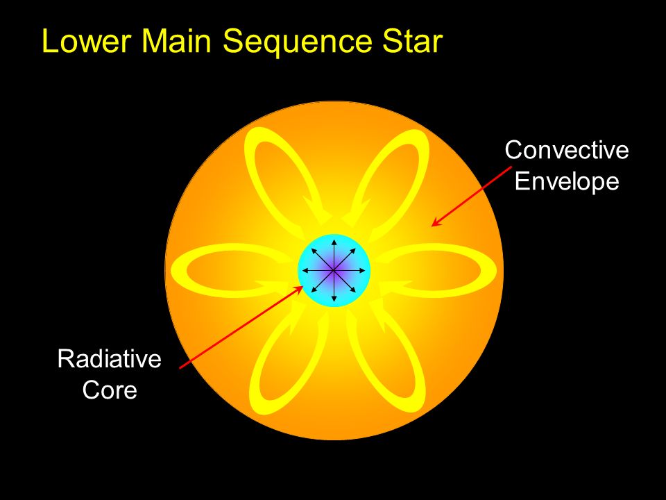 Main sequence Star. Structure of a Star picture. Astronomic Graphics.
