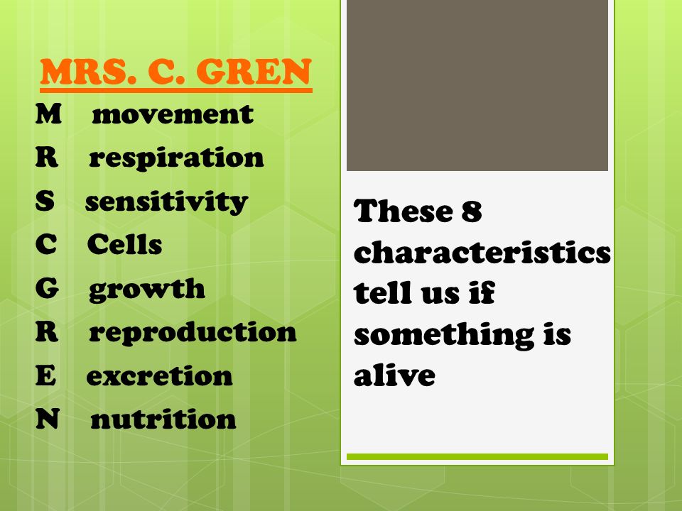 Characteristics Of Life 7th Grade Science Malnory Pietsch Ppt Video Online Download