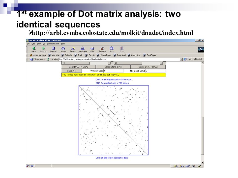 1st example of Dot matrix analysis: two identical sequences