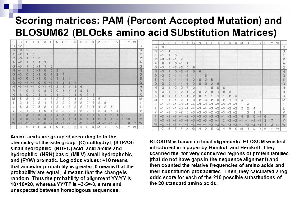 Scoring matrices: PAM (Percent Accepted Mutation) and BLOSUM62 (BLOcks amino acid SUbstitution Matrices)