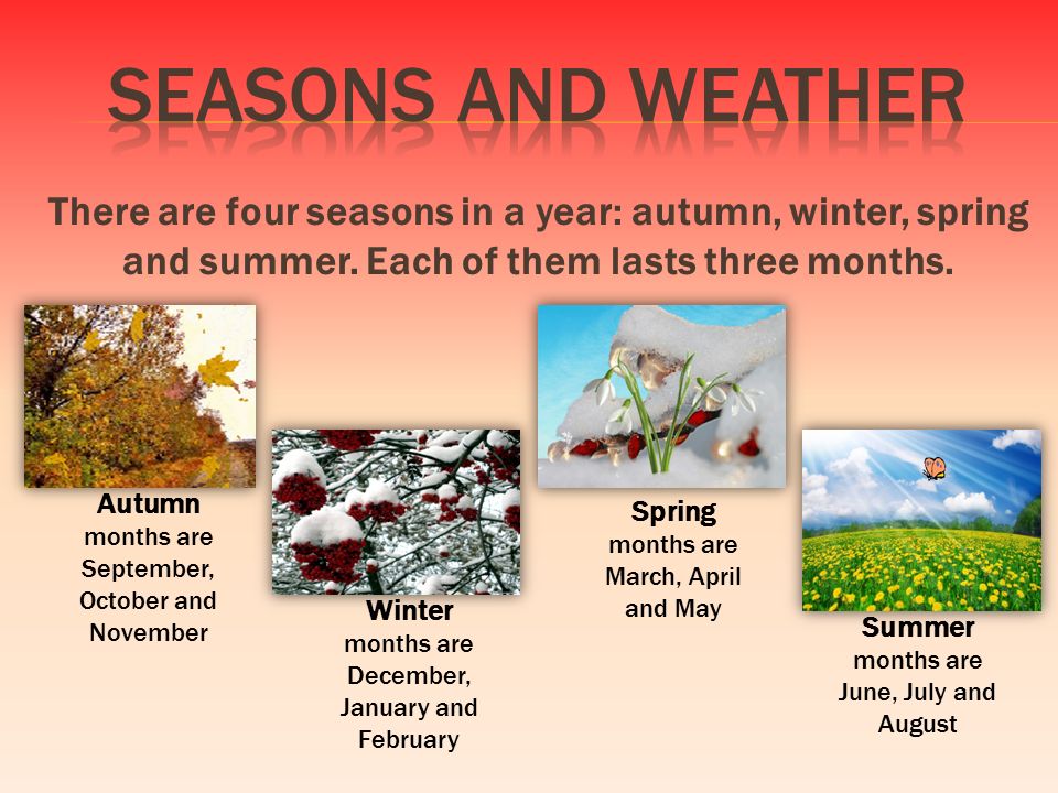 Seasons and Weather. - ppt video online download