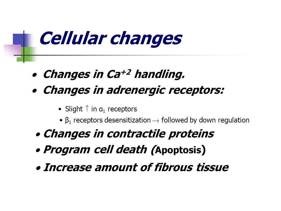 Cellular changes • Slight  in α1 receptors