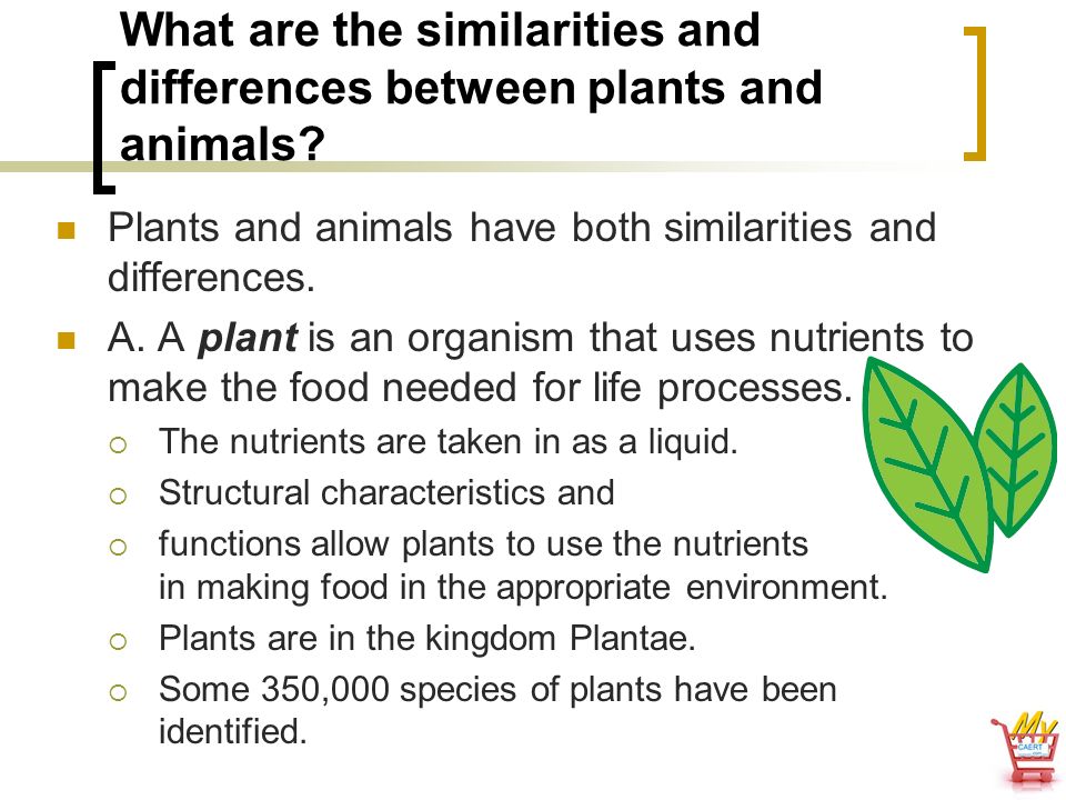 Animal, Plant & Soil Science - ppt video online download