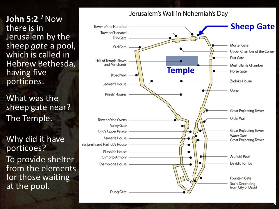 The Infirmed Man at Bethesda - ppt download