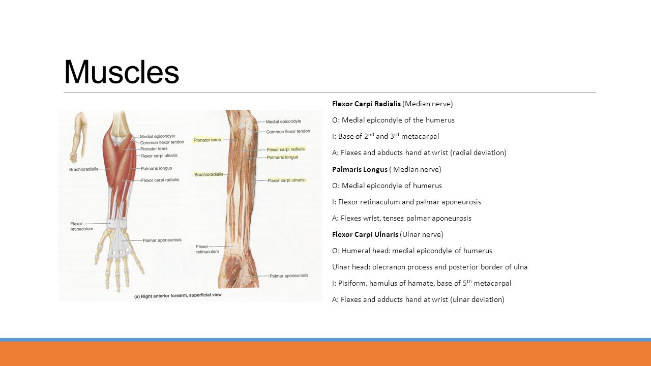 Broken Paraarm: Radius, Ulna és mindkét csonttörés