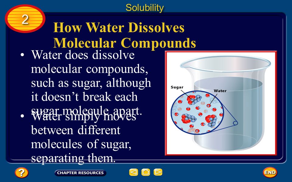 How Water Dissolves Molecular Compounds