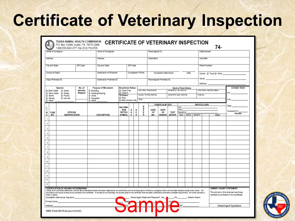 japan form health certificate 1 overview, CVI’s Personnel TAHC Part Course Authorized japan form health certificate 1 overview, CVI’s Personnel TAHC Part Course Authorized