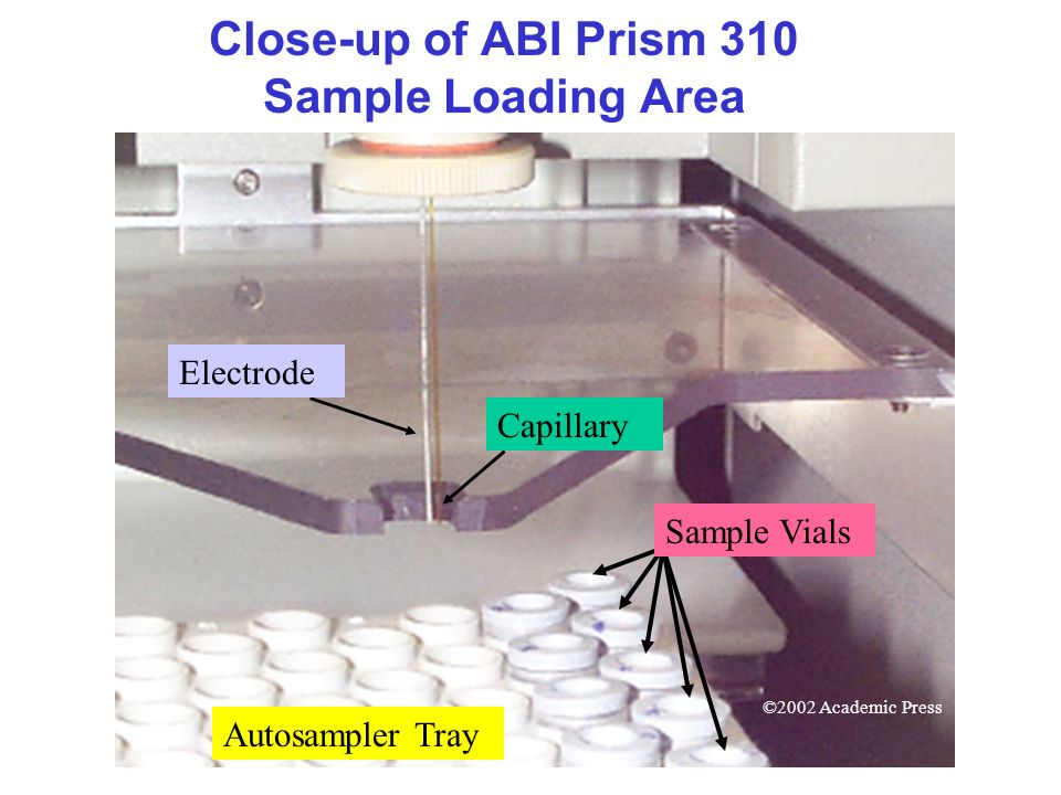 The ABI Prism 310 Genetic Analyzer - ppt video online download