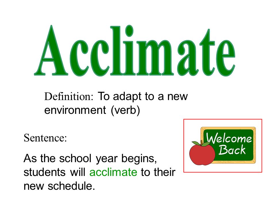 Middle School Word of the Week ppt video online download