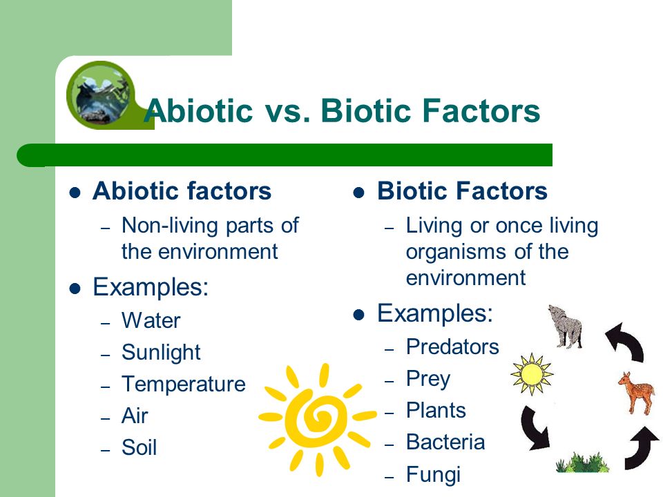 Abiotic vs. Biotic Factors.