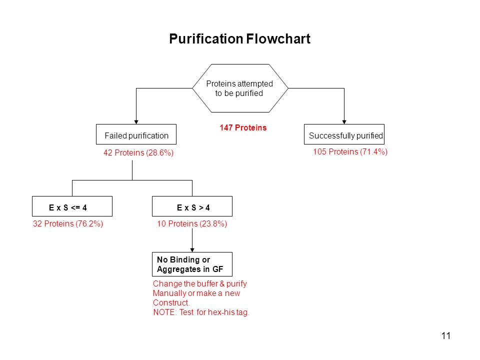Protein Purification Chart