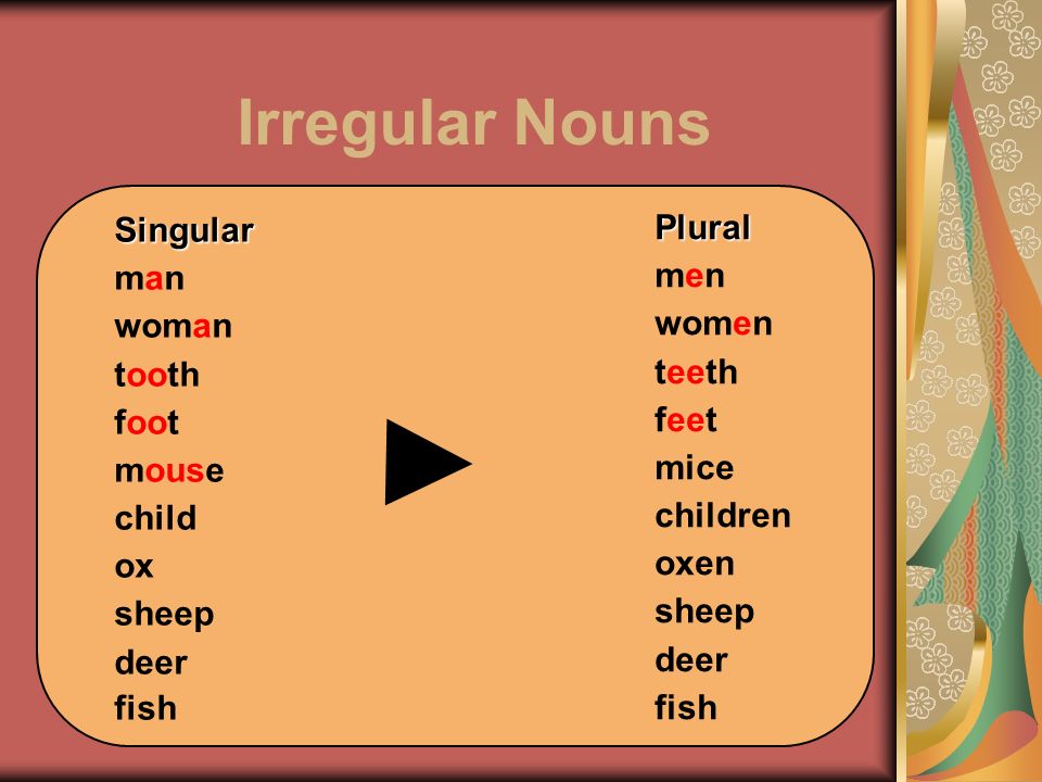 Irregular plural nouns