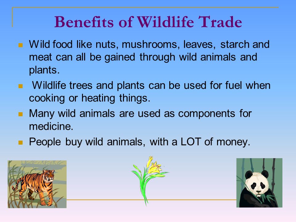 Wildlife Trade And Its Threats. - ppt download
