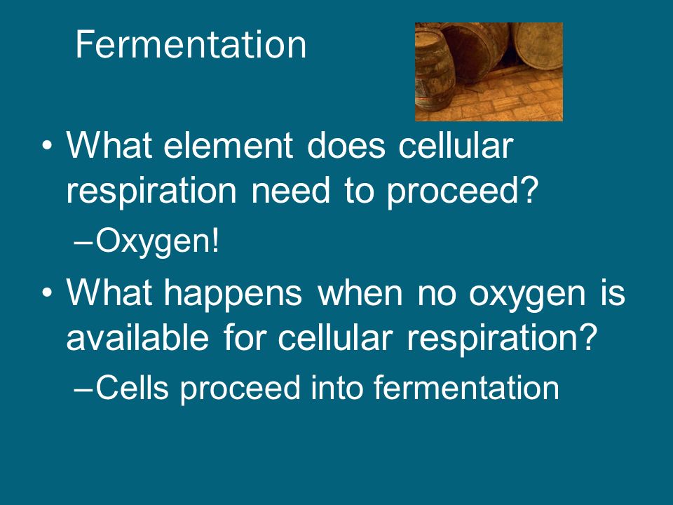 Fermentation What element does cellular respiration need to proceed