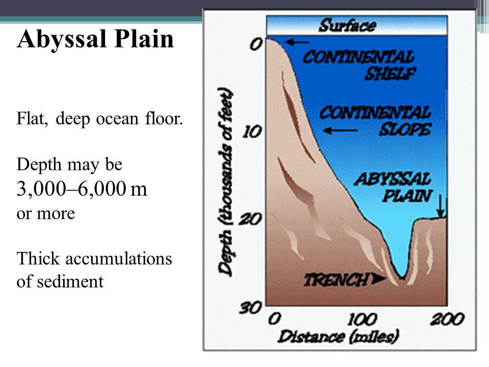 Topography Of The Ocean Ppt Video Online Download