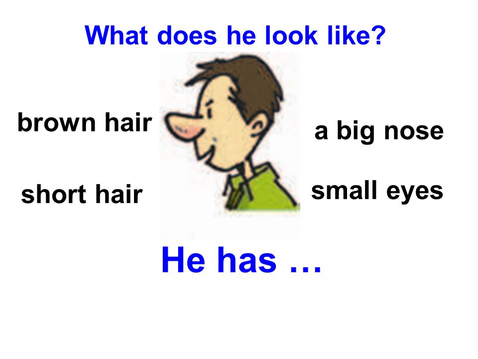What does he look like? brown hair a big nose small eyes. 