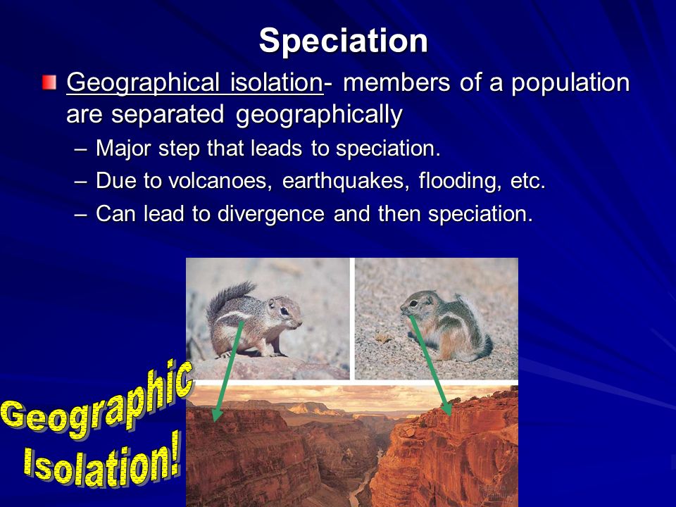 Speciation Geographic Isolation!