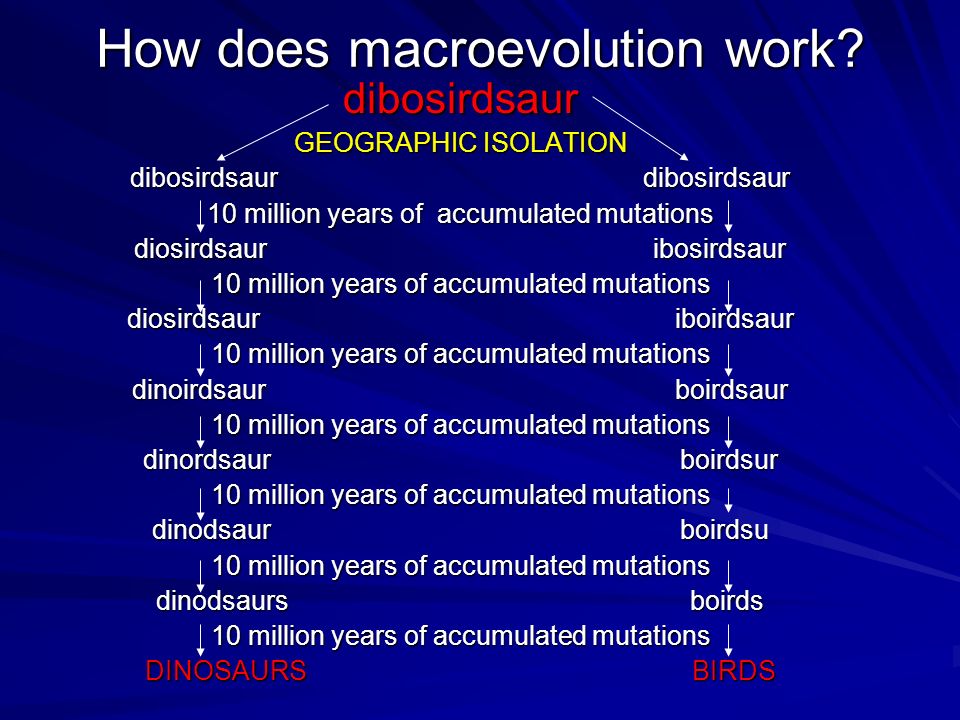 How does macroevolution work