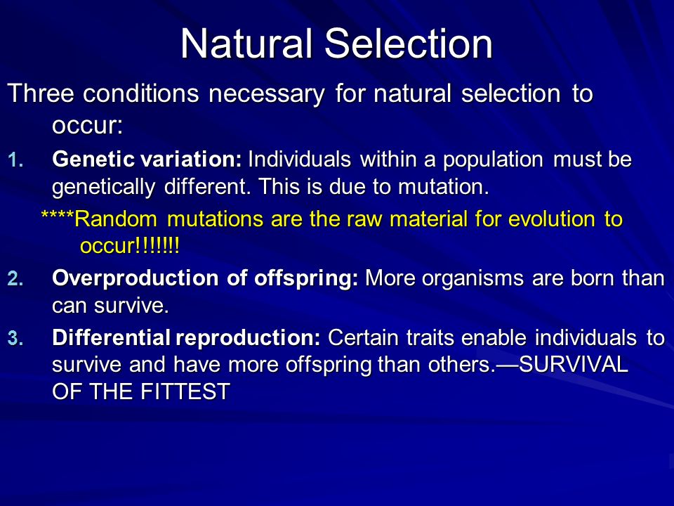 Natural Selection Three conditions necessary for natural selection to occur: