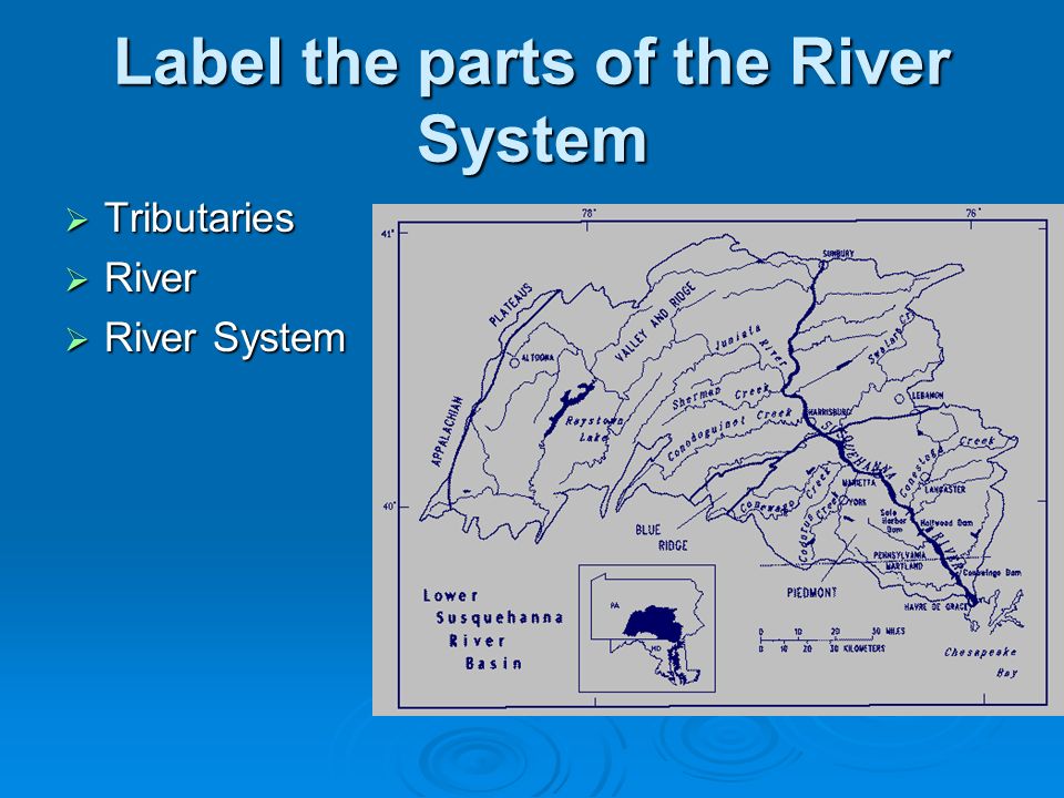 Surface Water Drill List As Many Examples Of Surface Water As You Can Objectives Swbat Diagram Portions Of Rivers And River Systems In Order To Understand Ppt Download