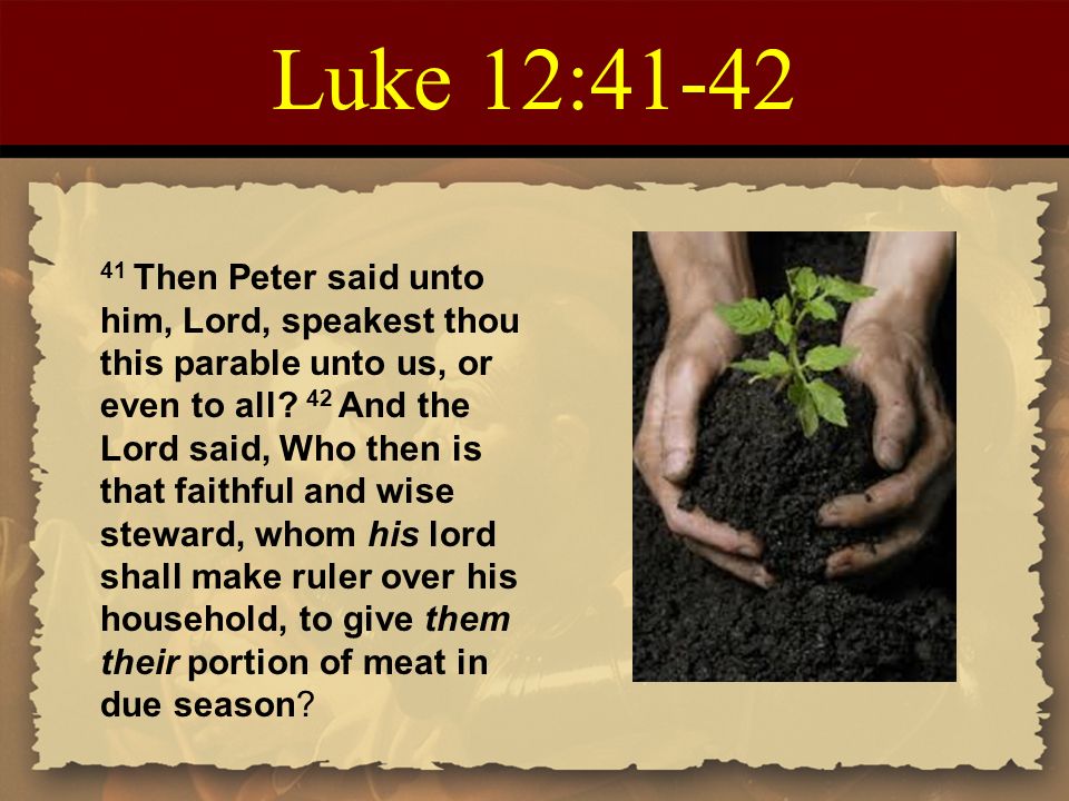 Luke 12:41-42