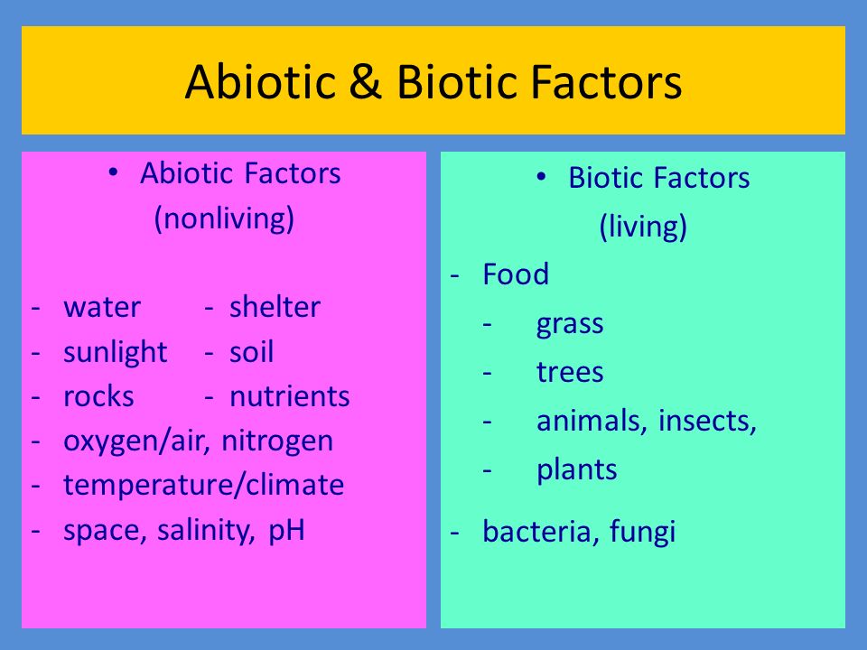 Abiotic & Biotic Factors.