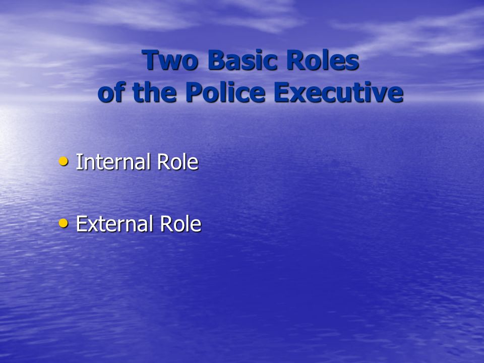 Two Basic Roles of the Police Executive