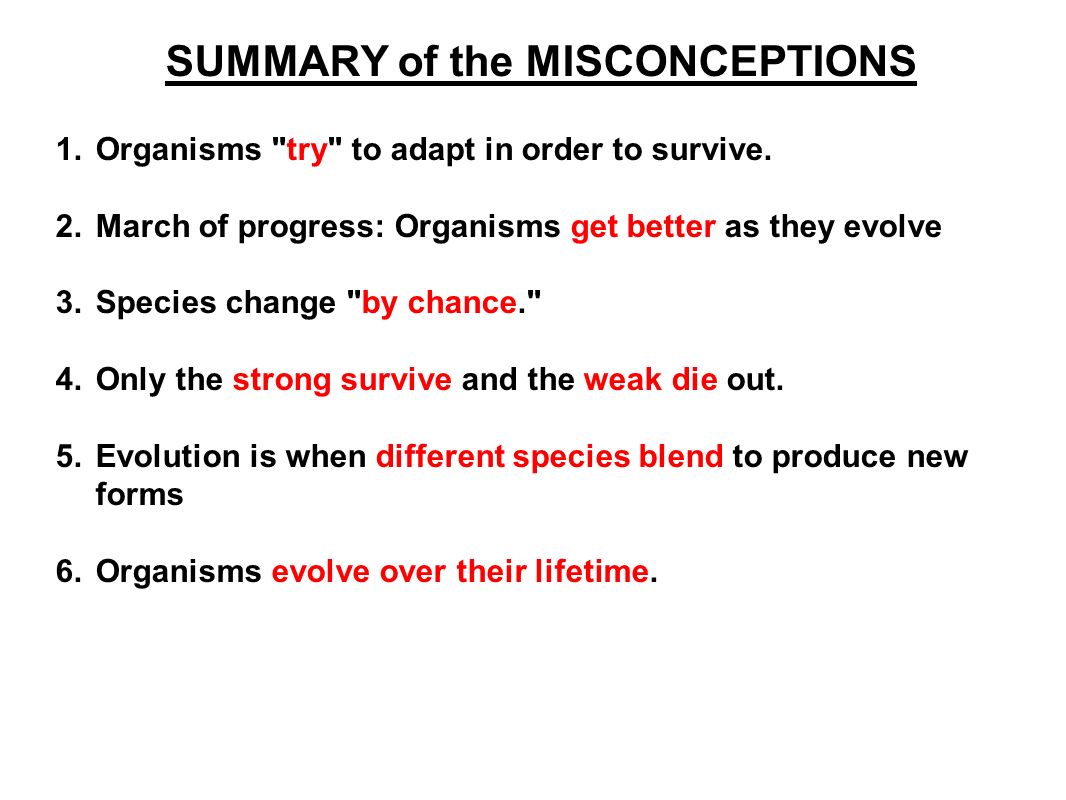 SUMMARY of the MISCONCEPTIONS