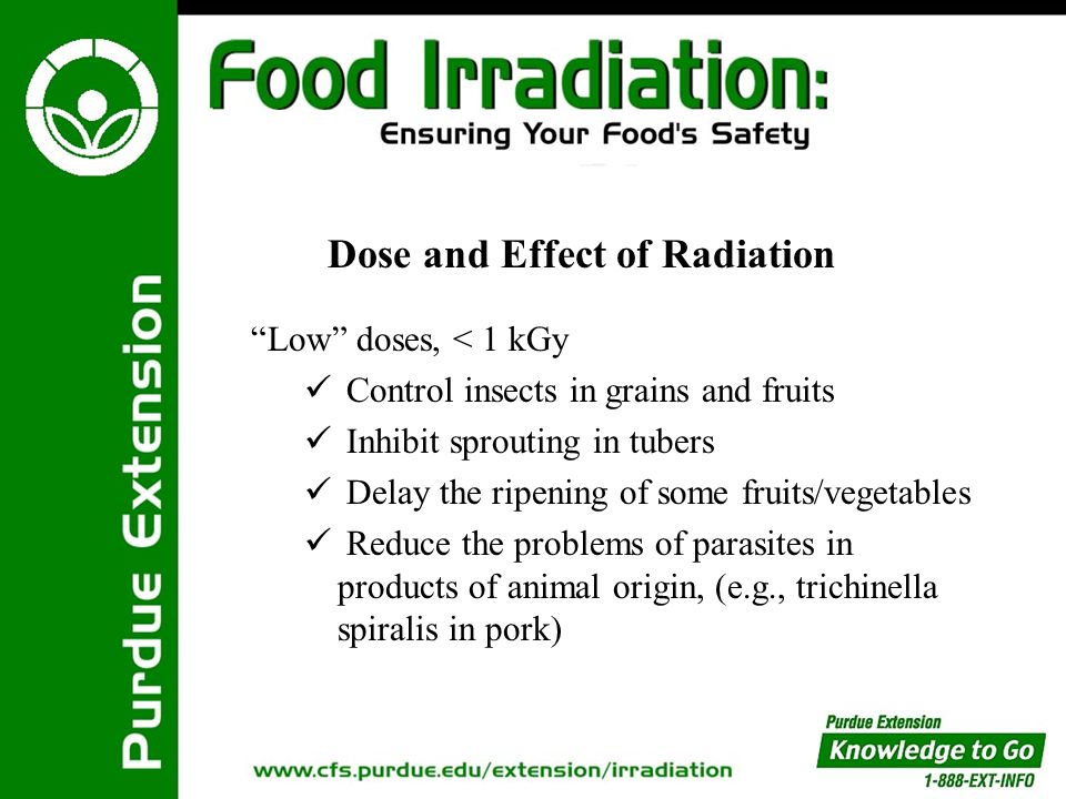Benefit or Risk? There is a limit to the extent that people across the  world can have access to fresh, uncontaminated food. Insects, pests, and  invisible. - ppt download
