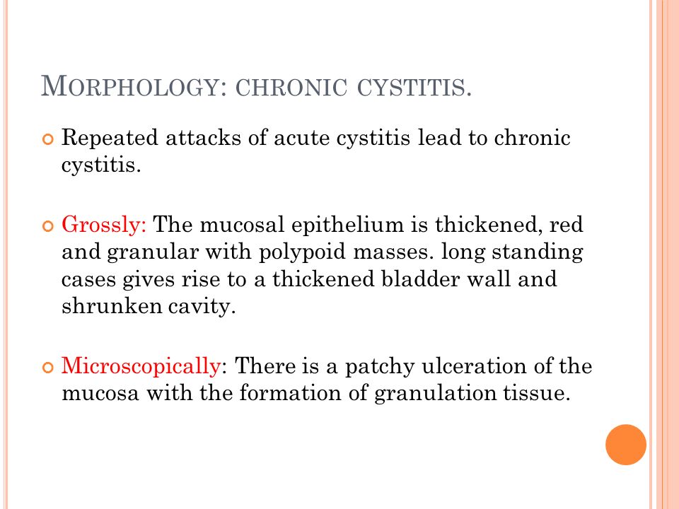 Morphology: chronic cystitis.