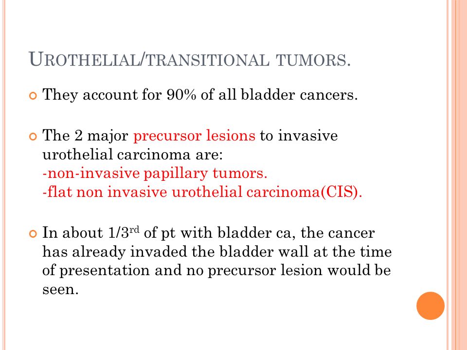 Urothelial/transitional tumors.