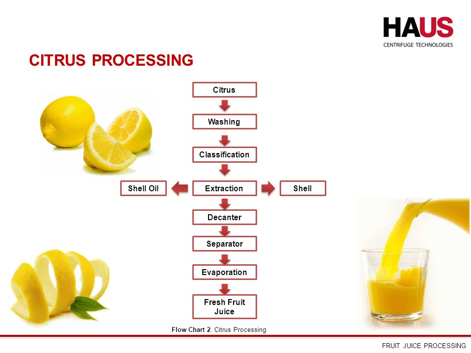 Fruit Classification Chart