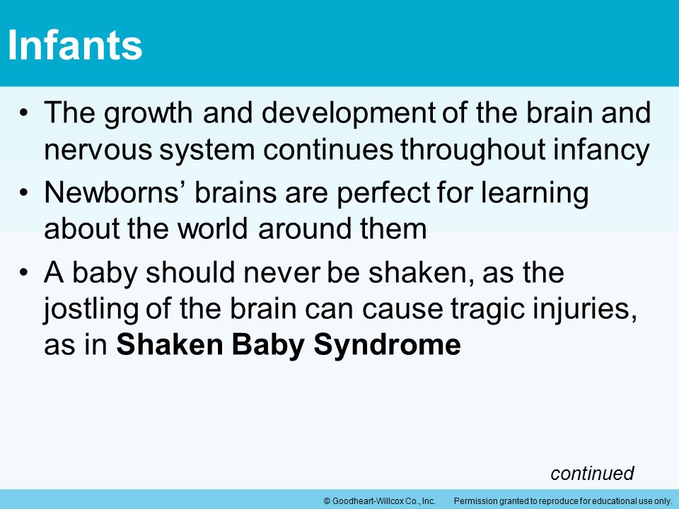 Infants The growth and development of the brain and nervous system continues throughout infancy.