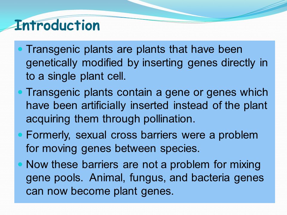 Transgenic Plants Dr. Sanjay Singh . College Allahabad - ppt video  online download