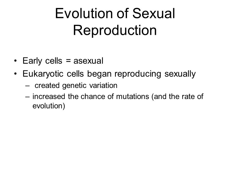 Evolution of Sexual Reproduction