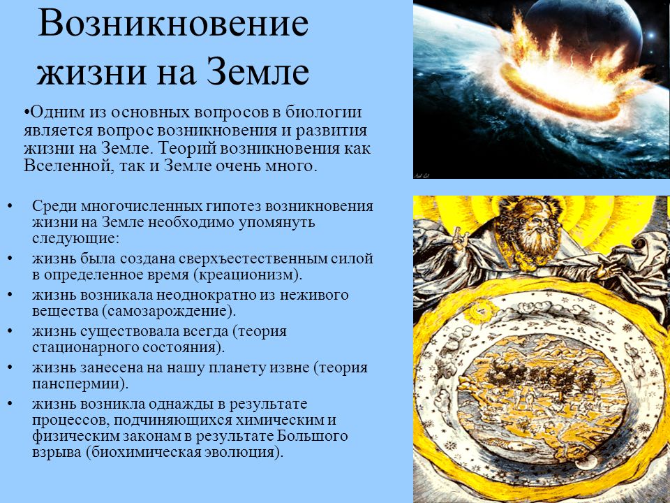 Презентация Развитие Жизни На Земле