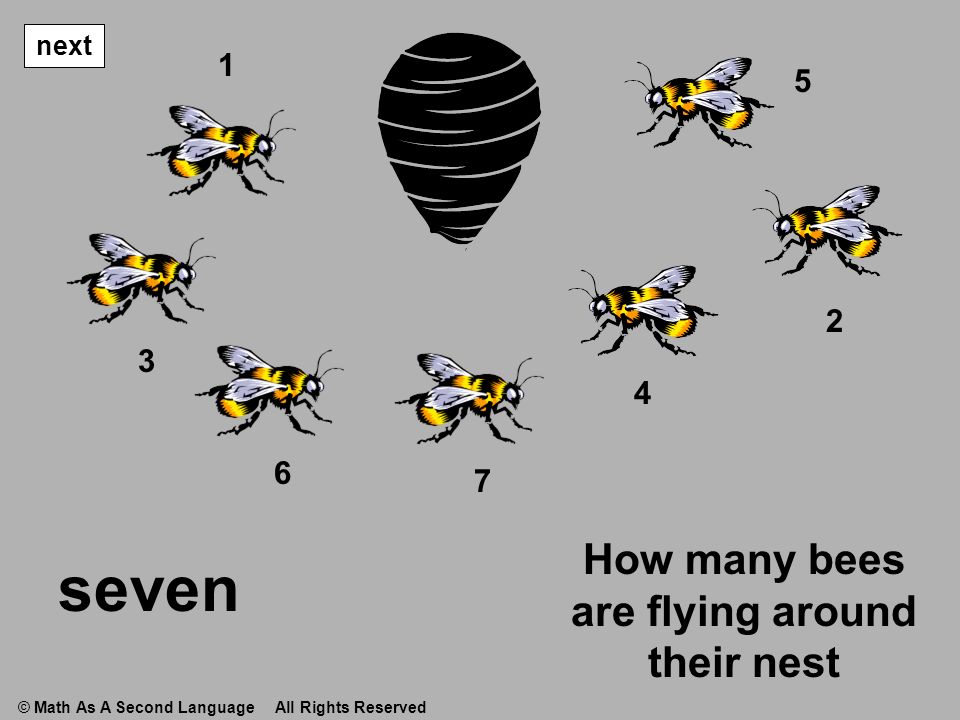 How many bees are flying around their nest