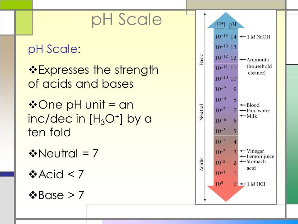 Ph Chart Acid And Base