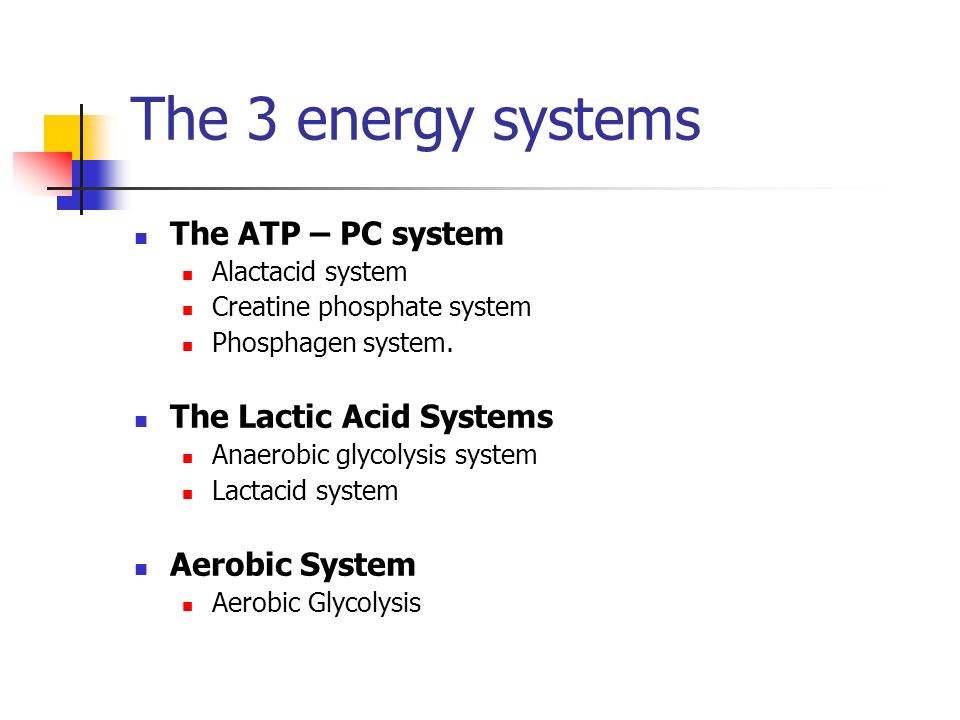 energy systems in touch football