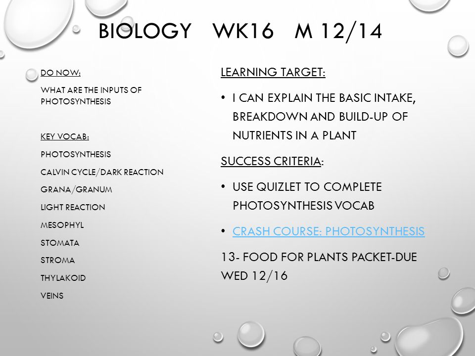 In Photosynthesis Atp Is Made By Quizlet - Wasfa Blog