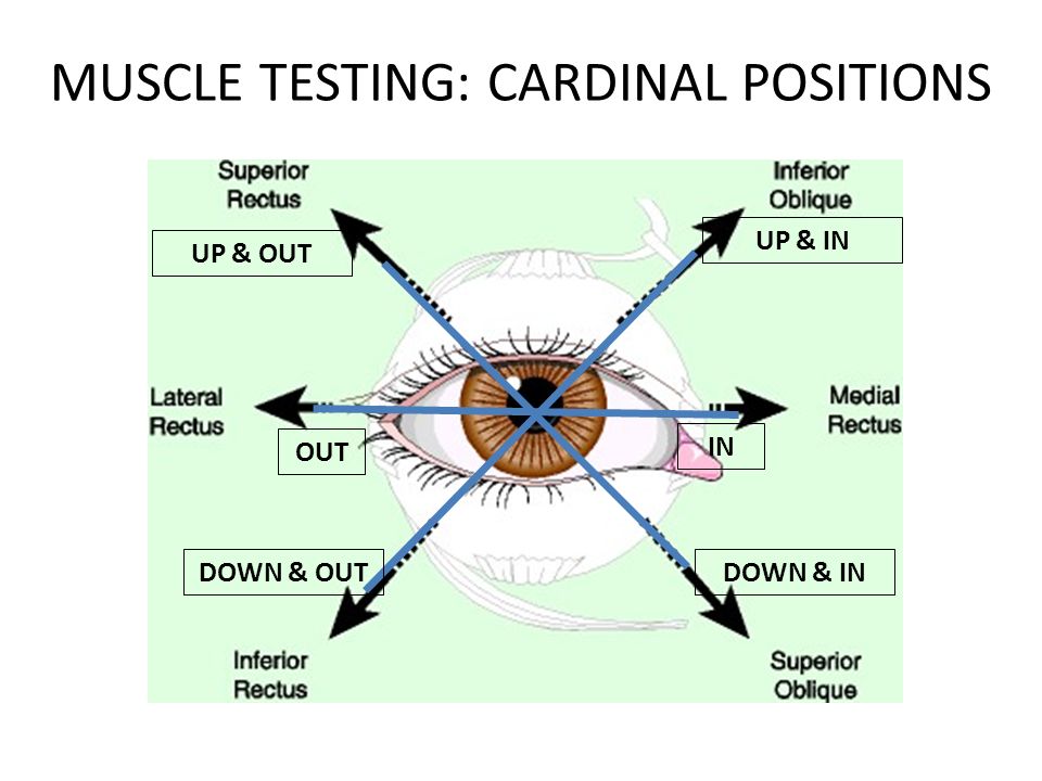 Extra Ocular Movements - ppt video online download