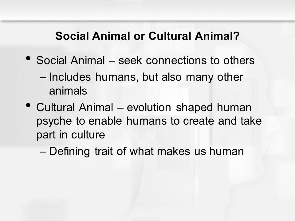 Chapter 2 - Culture and Nature - ppt video online download
