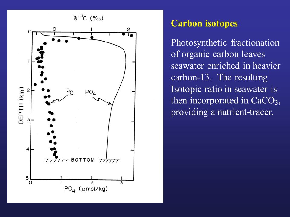 Carbon isotopes Photosynthetic fractionation. of organic carbon leaves. seawater enriched in heavier.