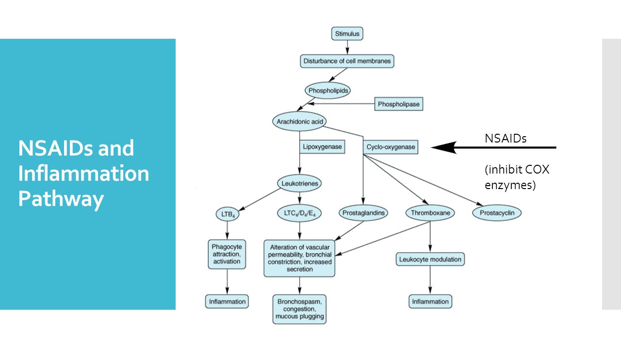 Nsaids In The Treatment And Prevention Of Cancer Ppt Video