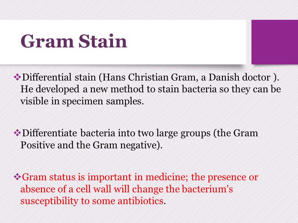 why will old gram positive cells stain gram negative
