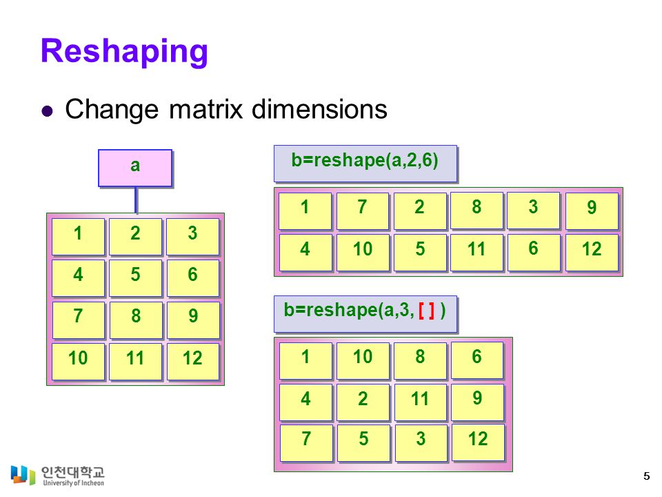 matlab reshape