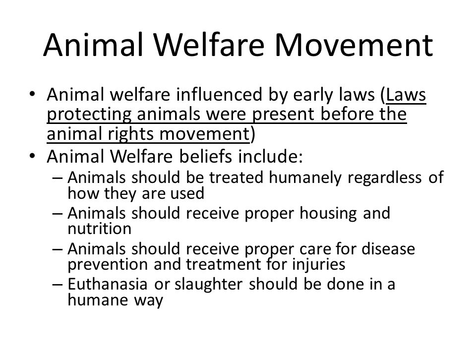 Summarize animal rights and animal welfare - ppt video online download