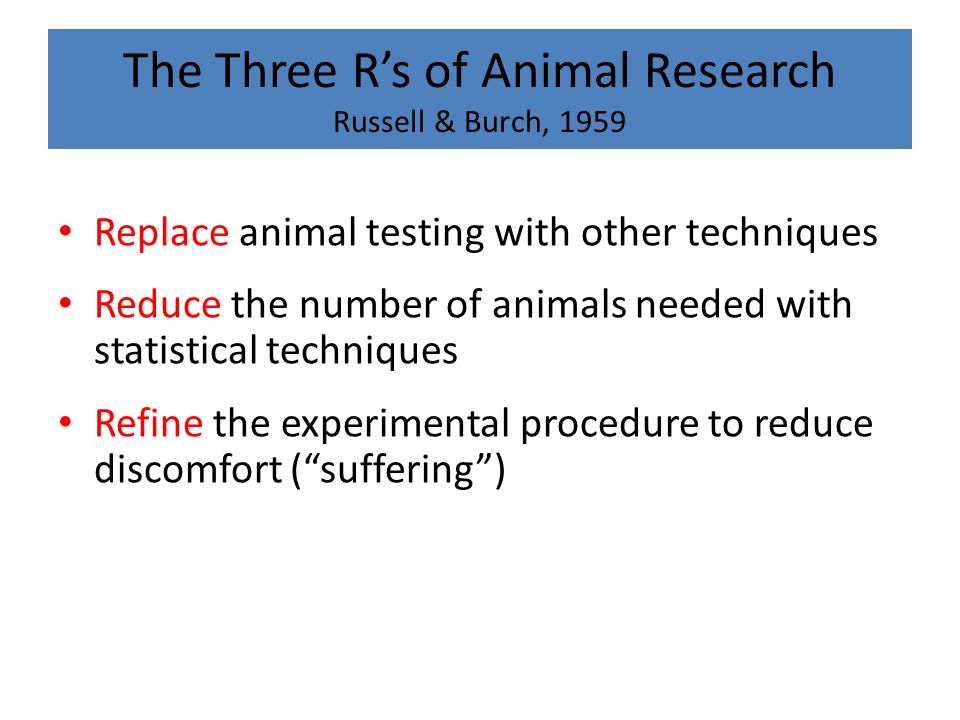 Relations Between Human and Nonhuman Animals - ppt download