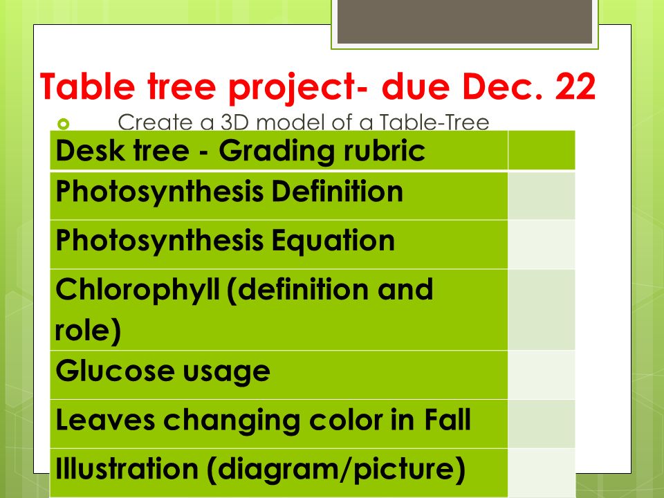 What Factors Influence The Rate Of Photosynthesis Ppt Video Online Download