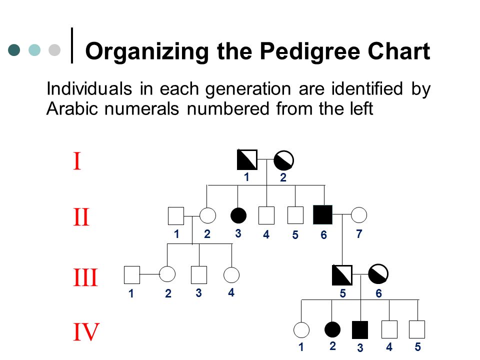 3 Generation Pedigree Chart